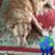 Kathleen Neiman's profile image