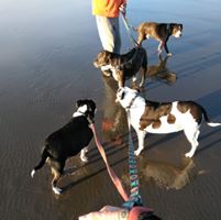 Tammy Melton's profile image