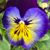 Michelle Cobb Endsley's profile image