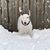 Stephanie Sirenski's profile image