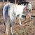 Cathy Foster-Mills's profile image