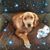 Darlene Flory's profile image