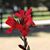 Chasidy O'Neal's profile image