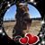 Lori Darlington's profile image