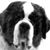 Rhonda Hensley's profile image