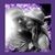 Tammy Barcus's profile image