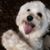 Linda Lillard's profile image