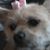 Anna Muth's profile image