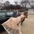 Jenn Alpers's profile image