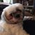 Melissa Corta's profile image