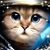 Lisa M Law's profile image