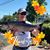Douglas C Plommer's profile image