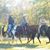Lynda Russell's profile image