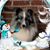 Joanie Rekart's profile image