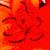 Melissa Lewis's profile image