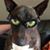 Lynn Brunsell's profile image