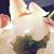 Diane Longo's profile image
