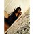Brinda Oviedo's profile image