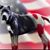 Lisa Marie Zapico's profile image
