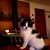 Paula Sanchez's profile image