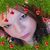 Michelle SpArkle Shelton's profile image