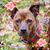 Debbie Beck Lawlor's profile image