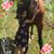 Jessica Mary's profile image