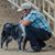 Susan Lawley Severns's profile image