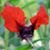 Gary P. Gleason's profile image