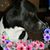 Cheryl Clark's profile image