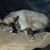 Lois Hoffman's profile image