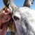 Tracy Day's profile image