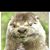 Craig S Norman's profile image