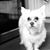 Linda Paolicelli Kelly's profile image