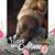 Rosiland Mcneal's profile image