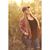 Victoria Zolfarelli's profile image