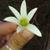 Lorena Mereles's profile image