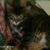JoLee Zephier's profile image