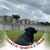 Kari B Gordon Geck's profile image
