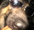 Heike S.'s profile image
