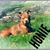 Brandi Miller's profile image
