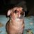 Donna Rogers's profile image