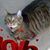 Debbie Ladner's profile image