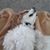 Karen Molacek's profile image