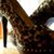 Jody Miller Valenzo's profile image