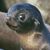 Kim Figgs's profile image