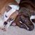 Erin McConnon David's profile image