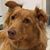 Eric Bothur's profile image