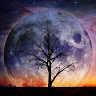 TiniV T.'s profile image