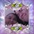 Miron Rios's profile image
